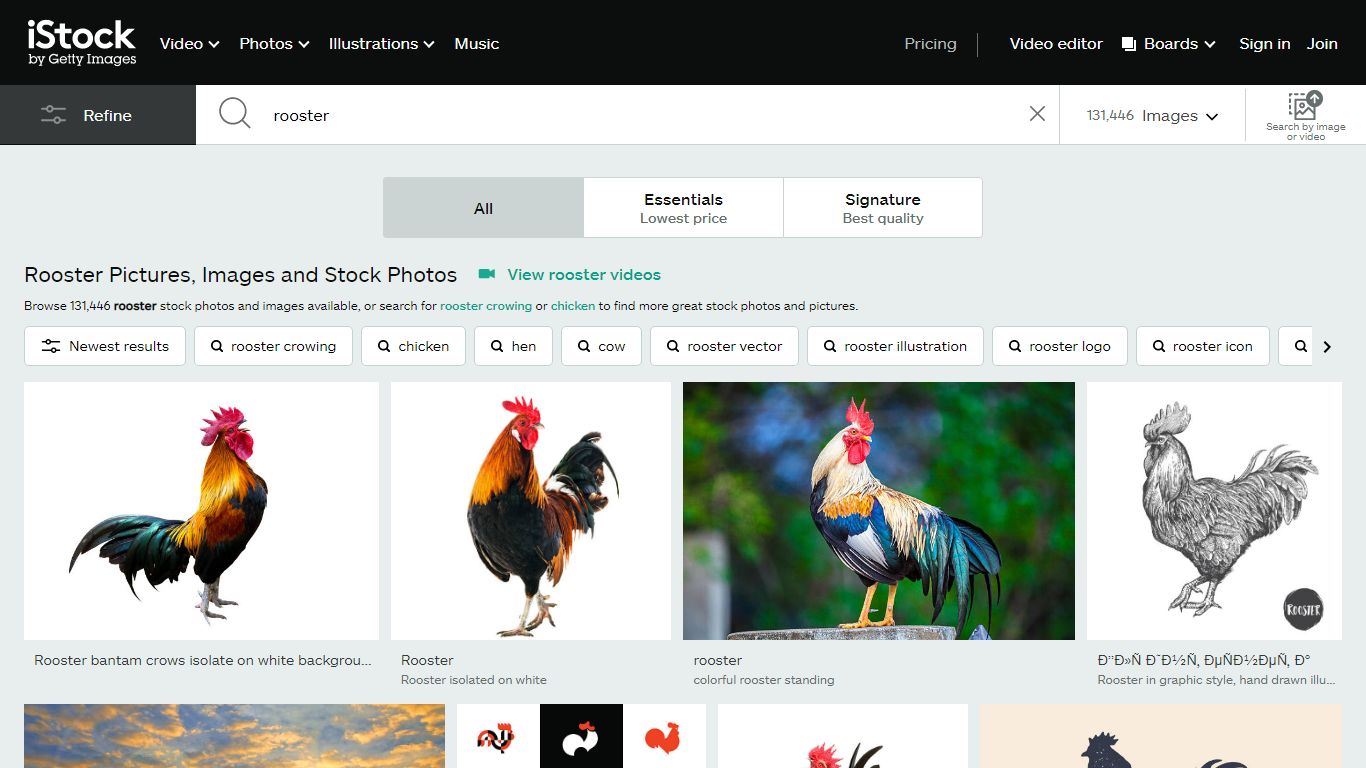 Rooster Stock Photos, Pictures & Royalty-Free Images - iStock