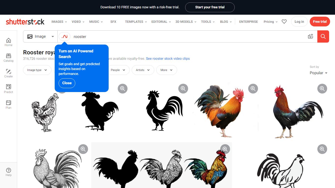 316,309 Rooster Images, Stock Photos & Vectors | Shutterstock