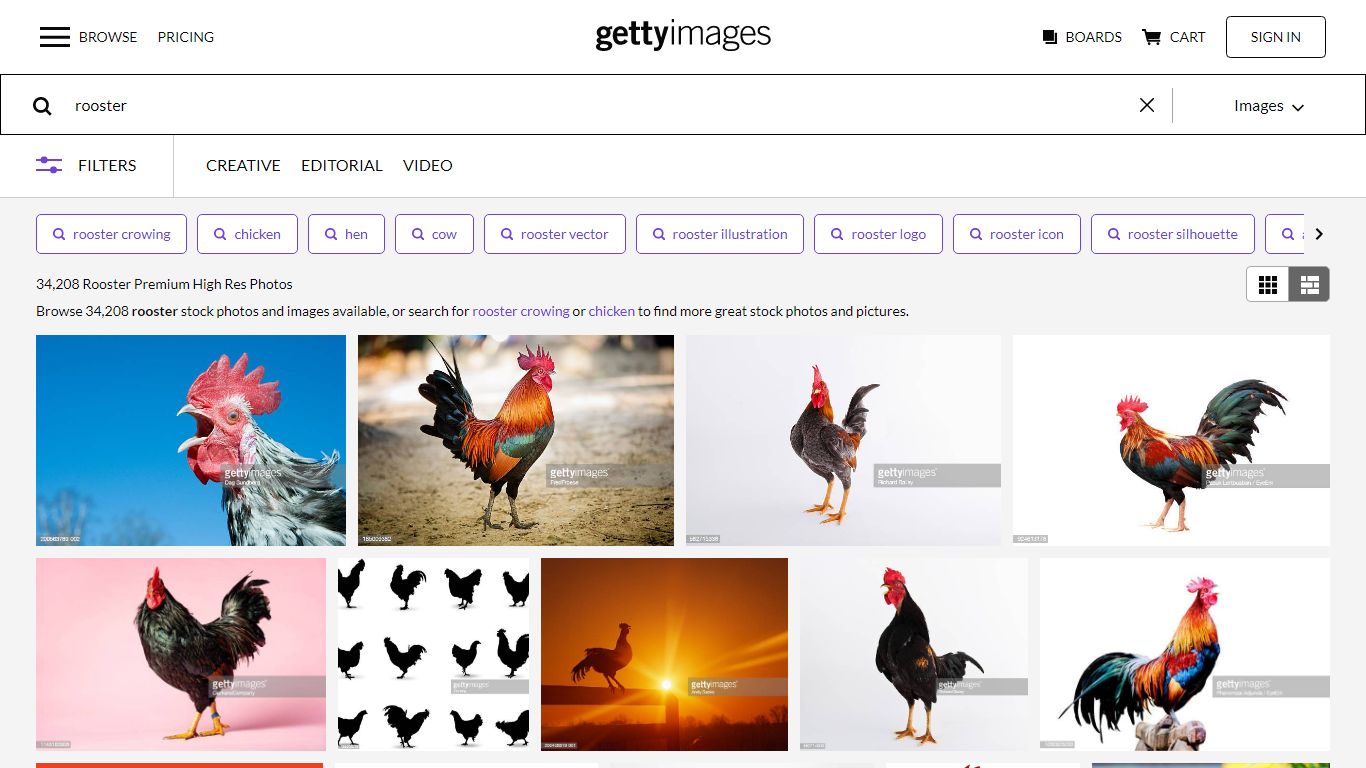 Rooster Photos and Premium High Res Pictures - Getty Images