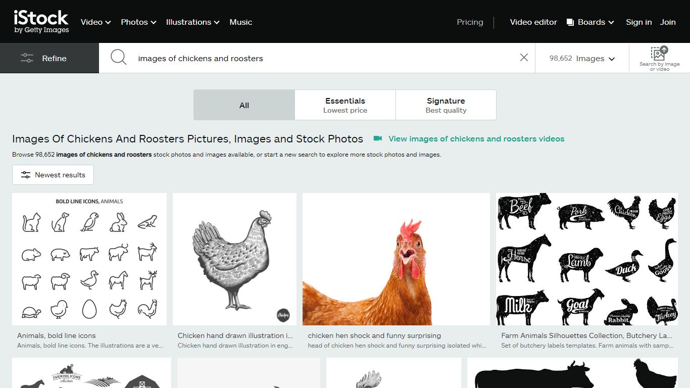 Images Of Chickens And Roosters Pictures, Images and Stock Photos